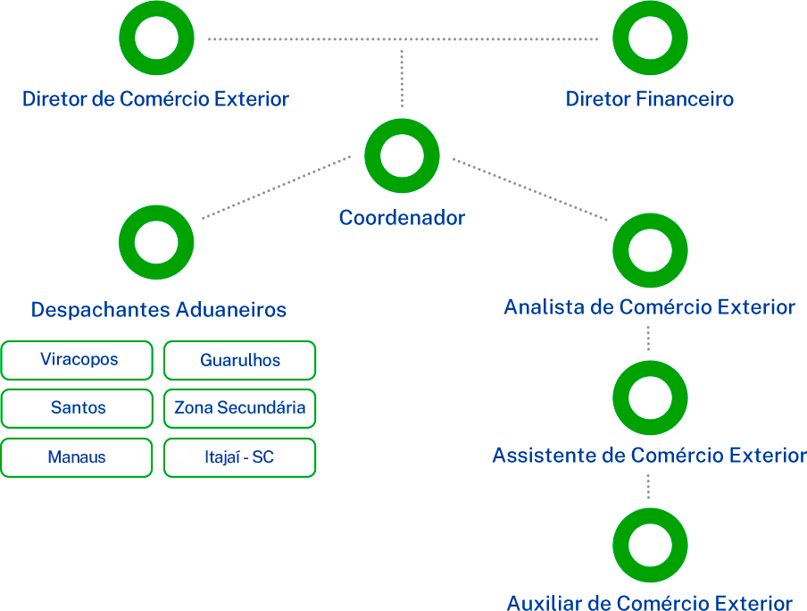 estrutura organizacional